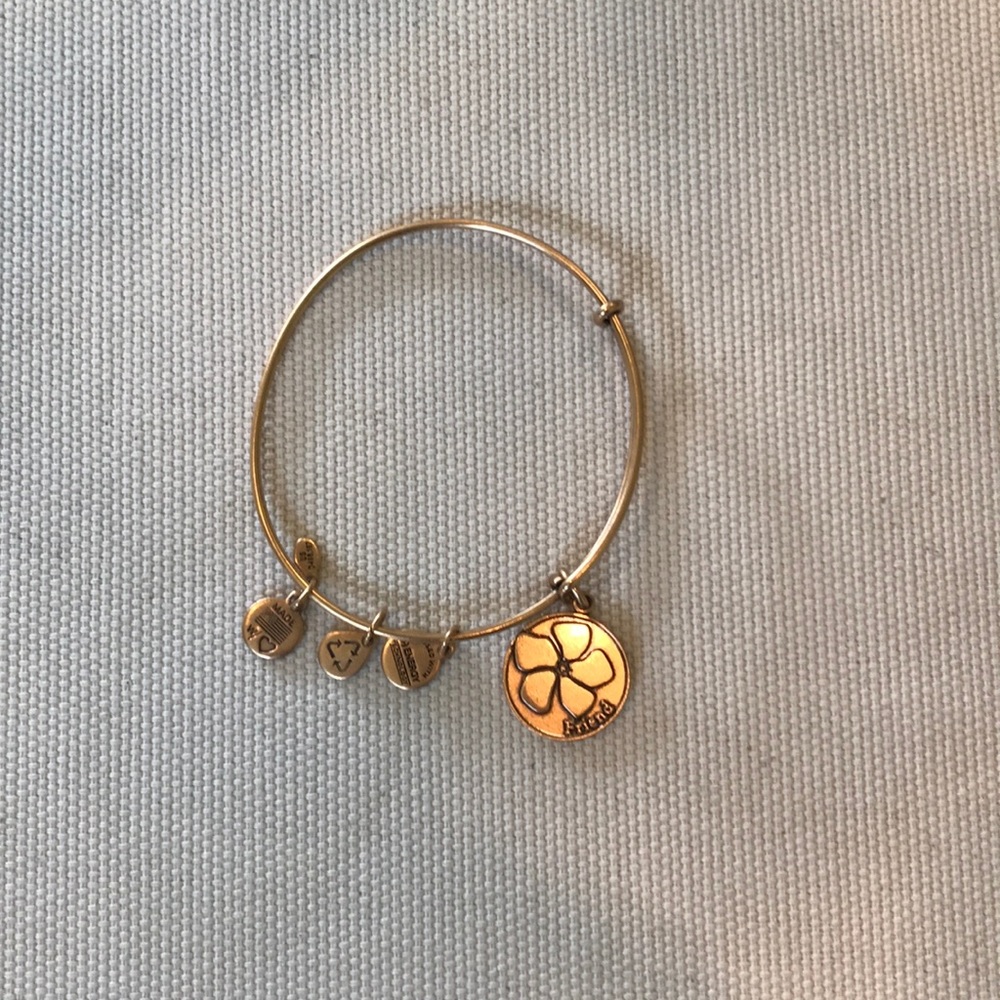 Alex & Ani “friend” bracelet 2014